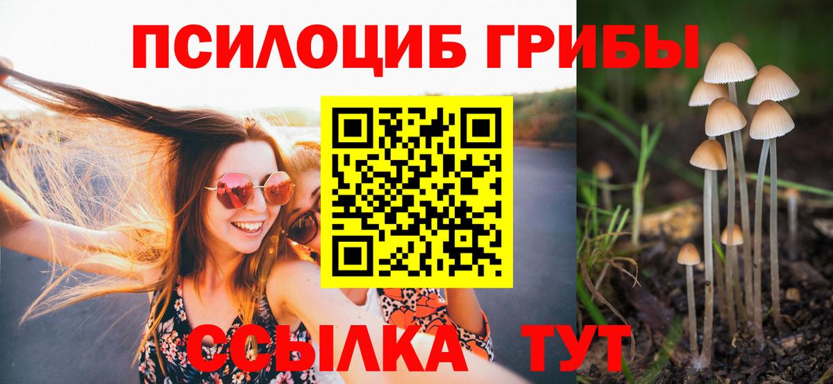 Галлюциногенные грибы Psilocybe  Вход с VPN  Александров  Псилоцибиновые грибы Psilocybine cubensis 